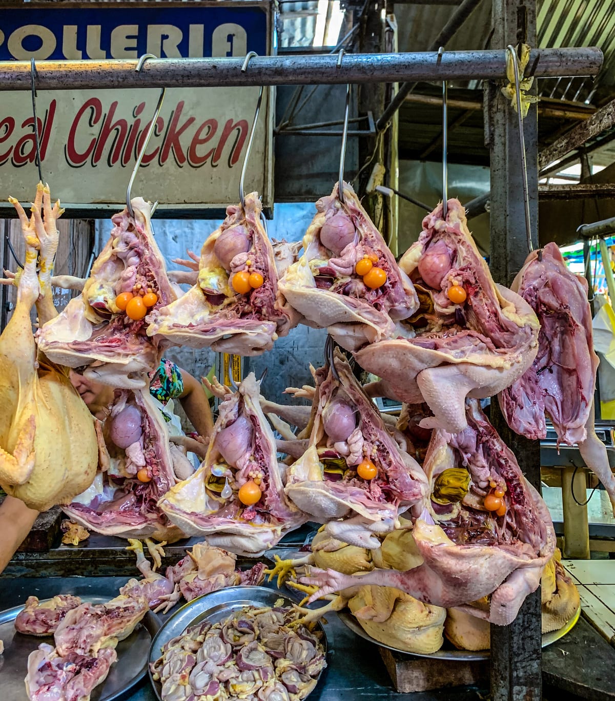 Chickens for sale in Trujilo market