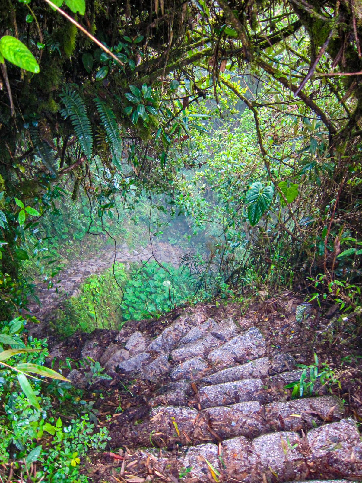 Descent on the Inca Trail