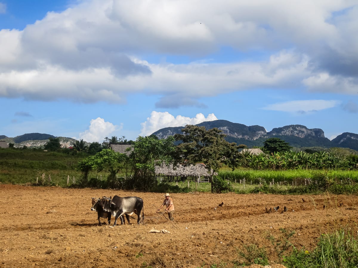 Farmers in Viñales