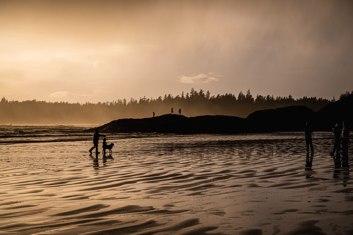 Humans at Golden Hour