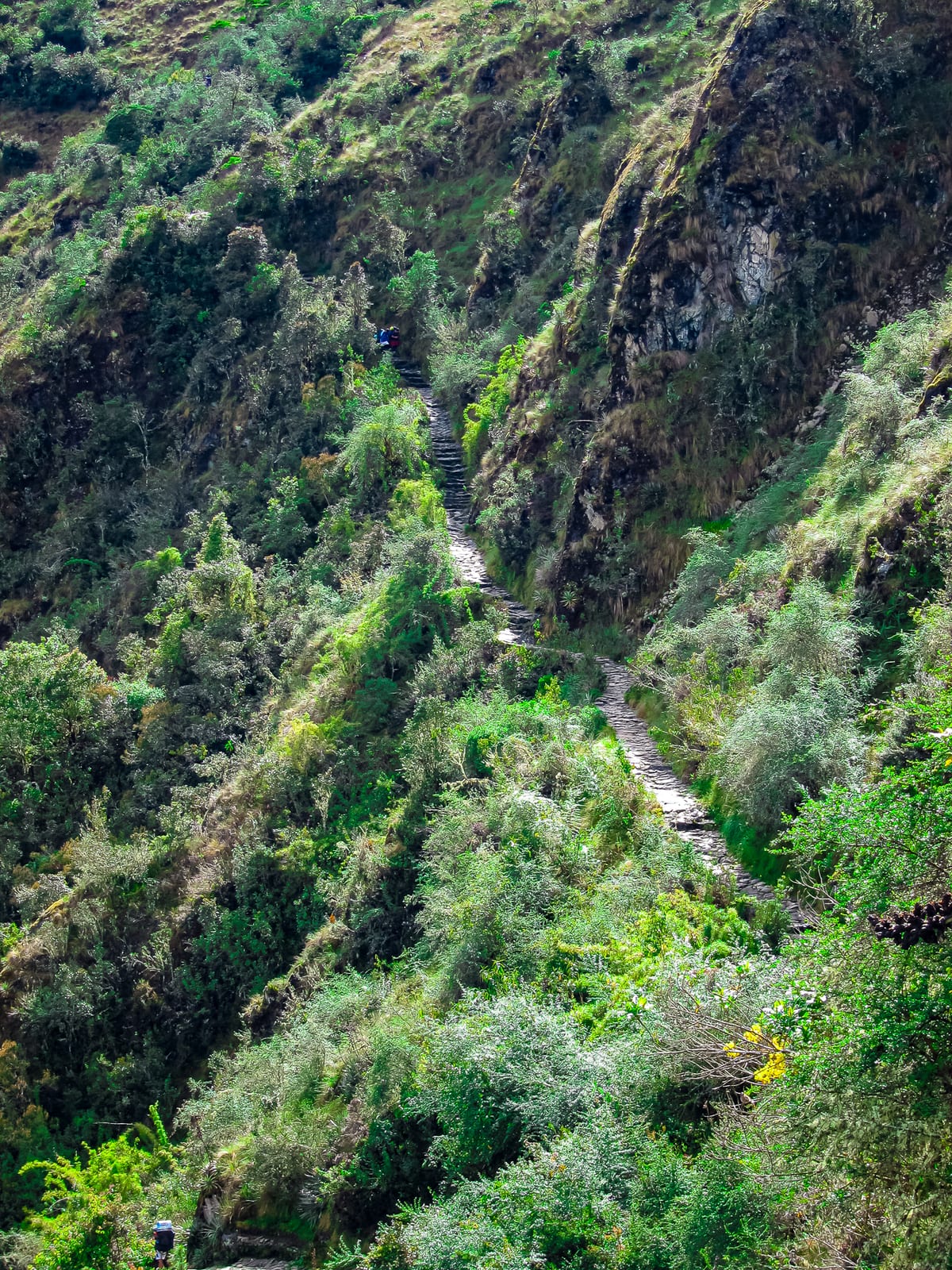 The trail continues to Macchu Pichu