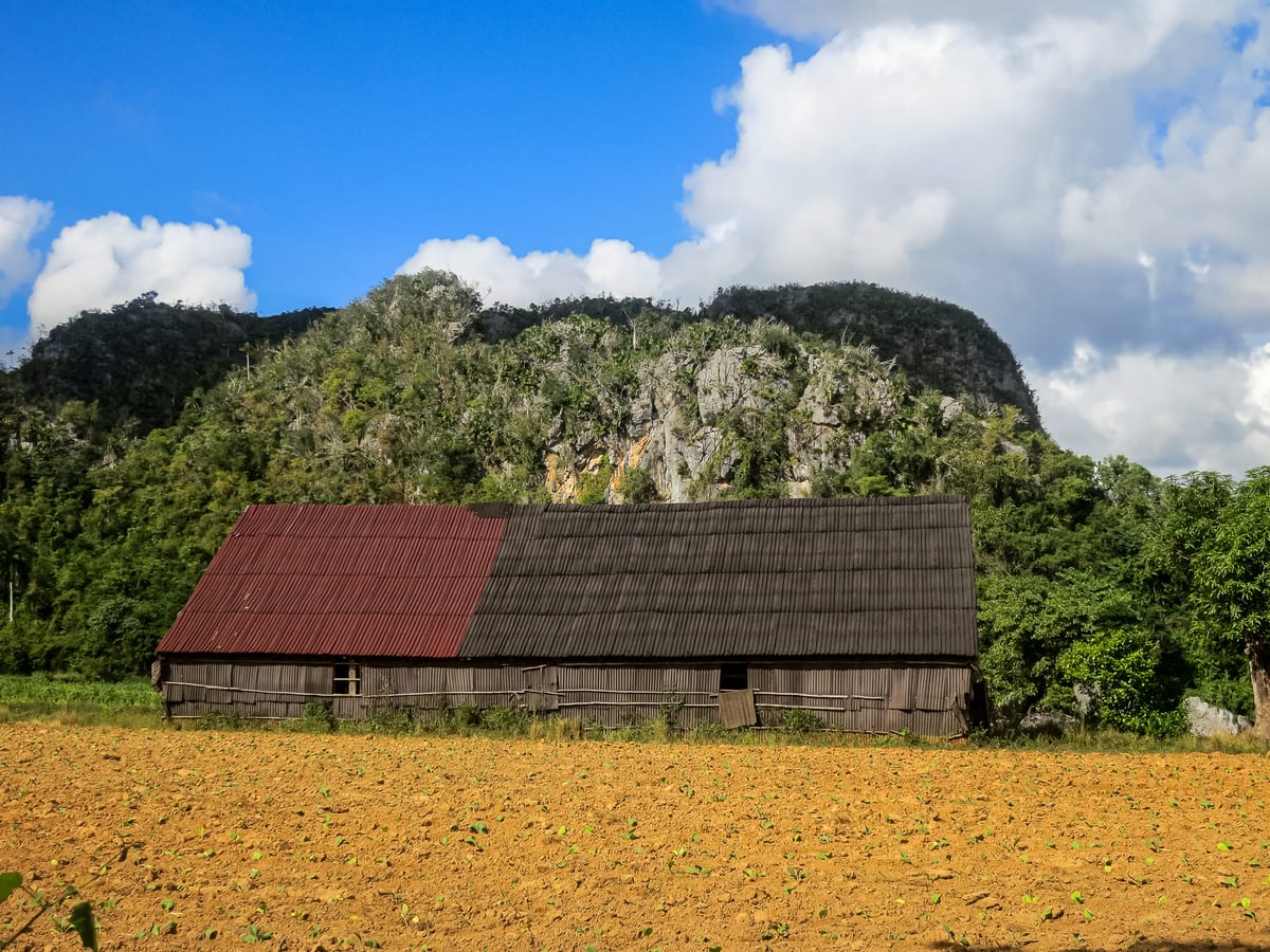 Tobacco drying house in Viñales